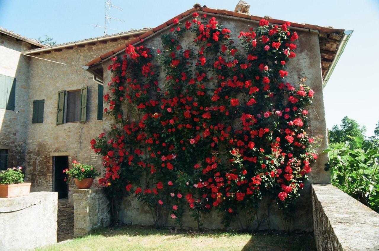 La Corte Bonomini Bed and Breakfast Neviano degli Arduini Eksteriør billede