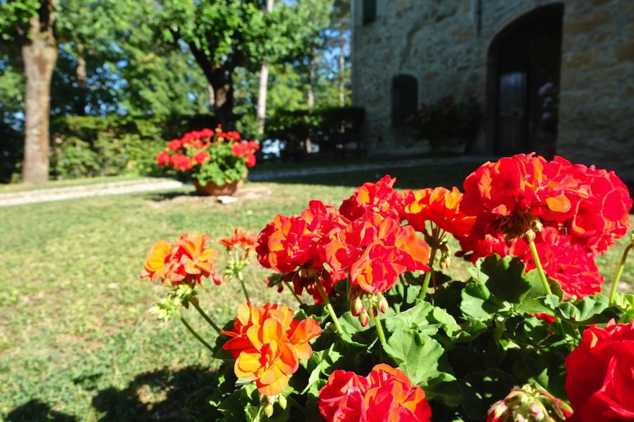 La Corte Bonomini Bed and Breakfast Neviano degli Arduini Eksteriør billede